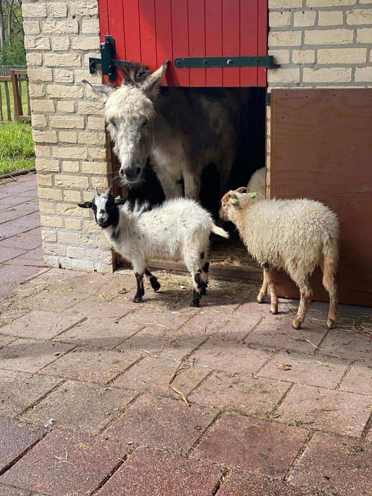 Het Huys Ewijk Mooi Luxe En Een Laadpaal 外观 照片