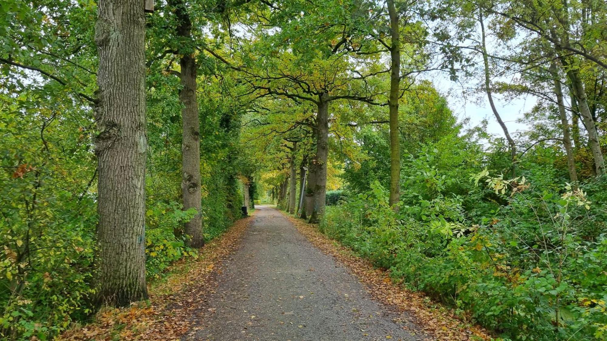 Het Huys Ewijk Mooi Luxe En Een Laadpaal 外观 照片